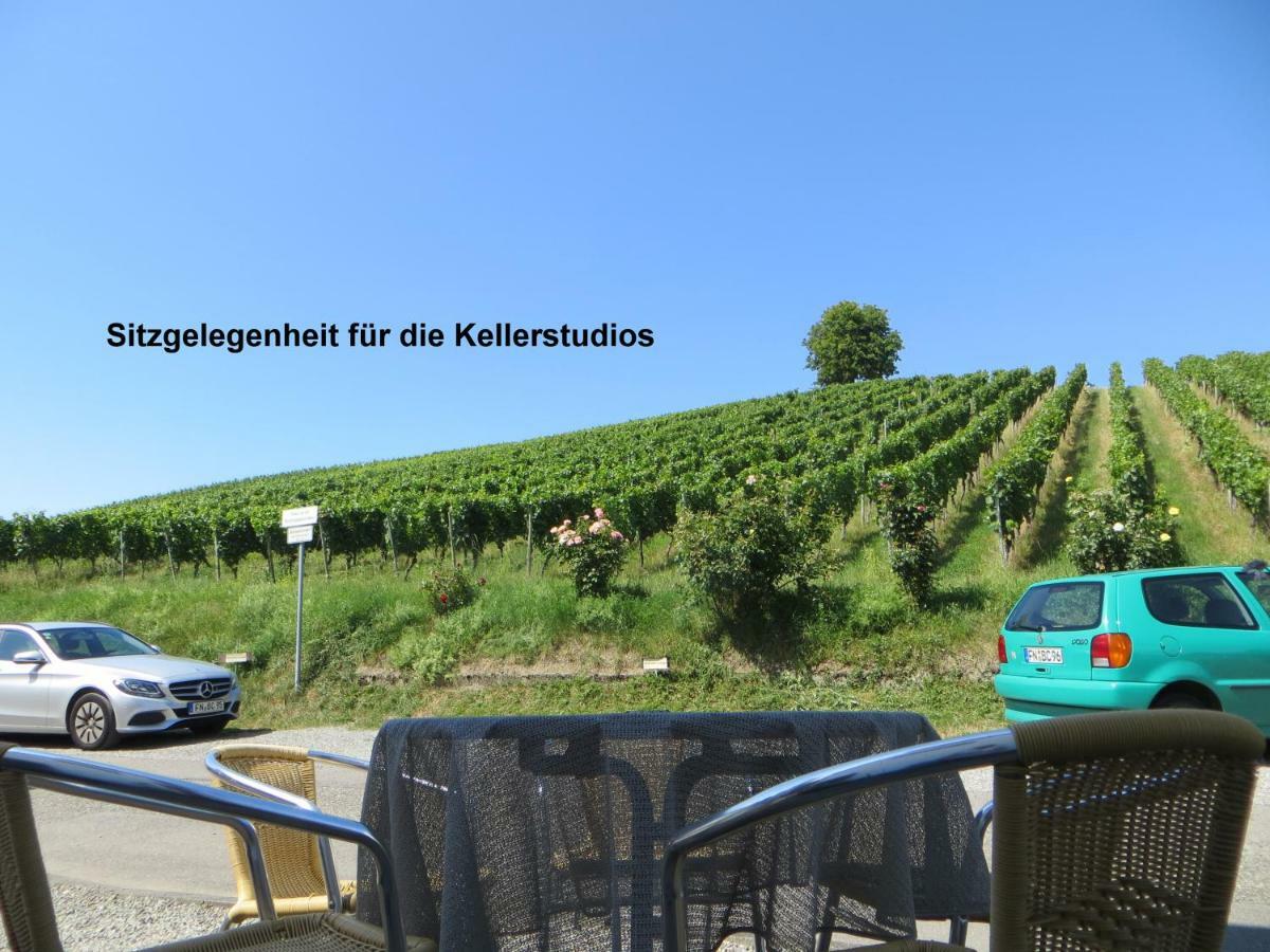Gaestehaus Sommertal Mit Pool Im Garten, Eigener Parkplatz, 800M Zum Bodensee, 300M Zur Altstadt Meersburg Eksteriør bilde